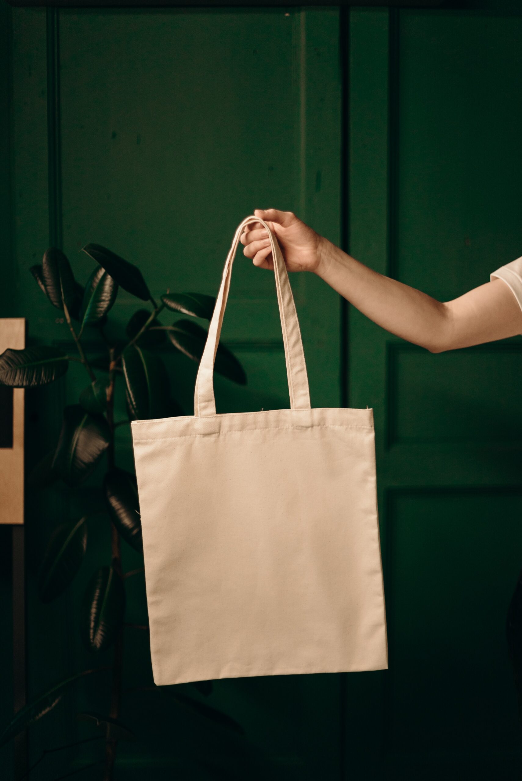 Shopping bag carrying self-care items